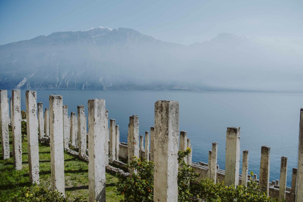 Garda Lake and vineyards