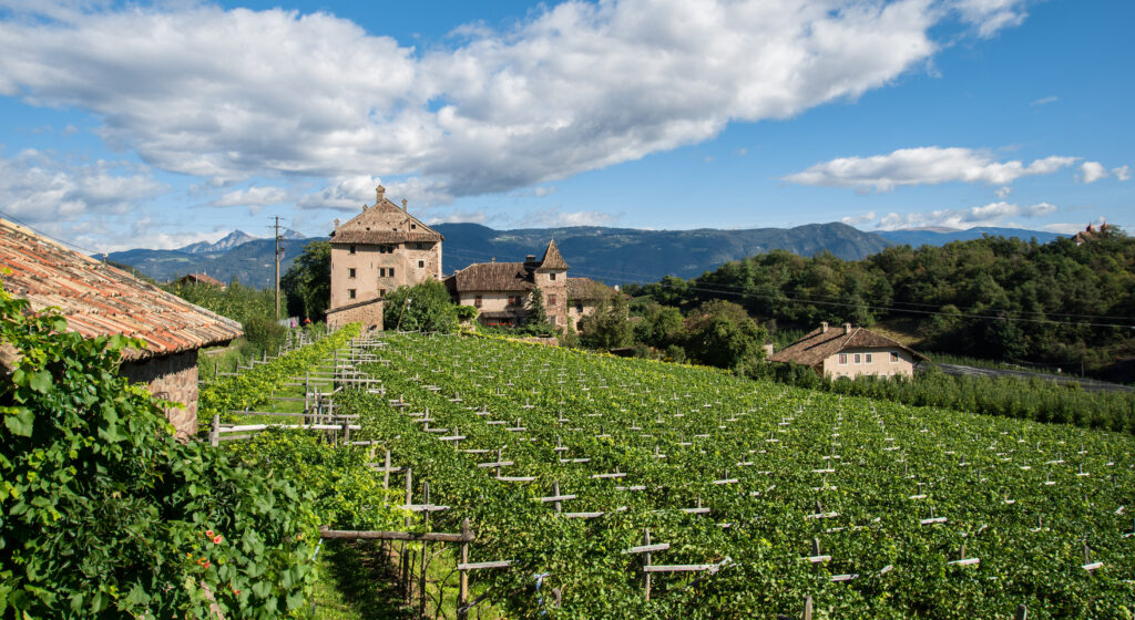 san michele appiano winery: vineyard and the castle