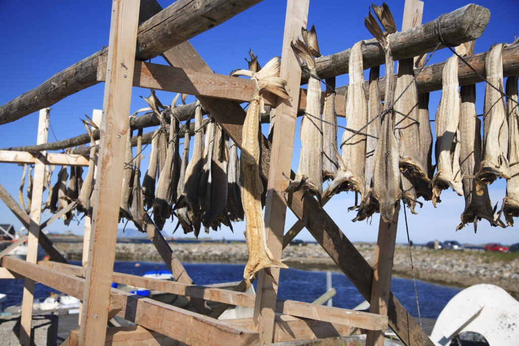 Stockfish