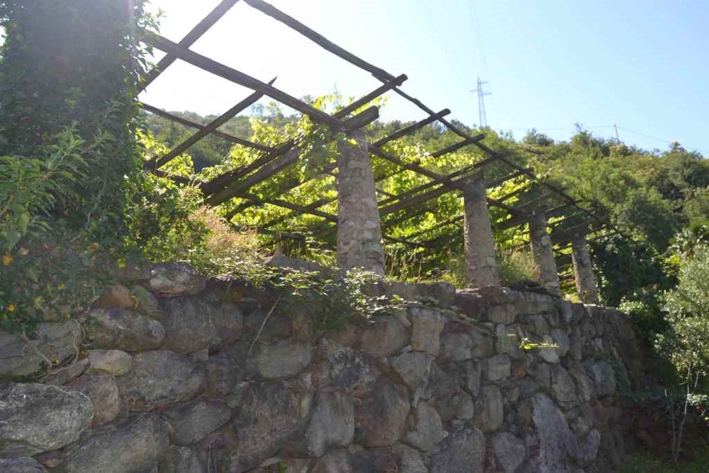 the pergola canavese