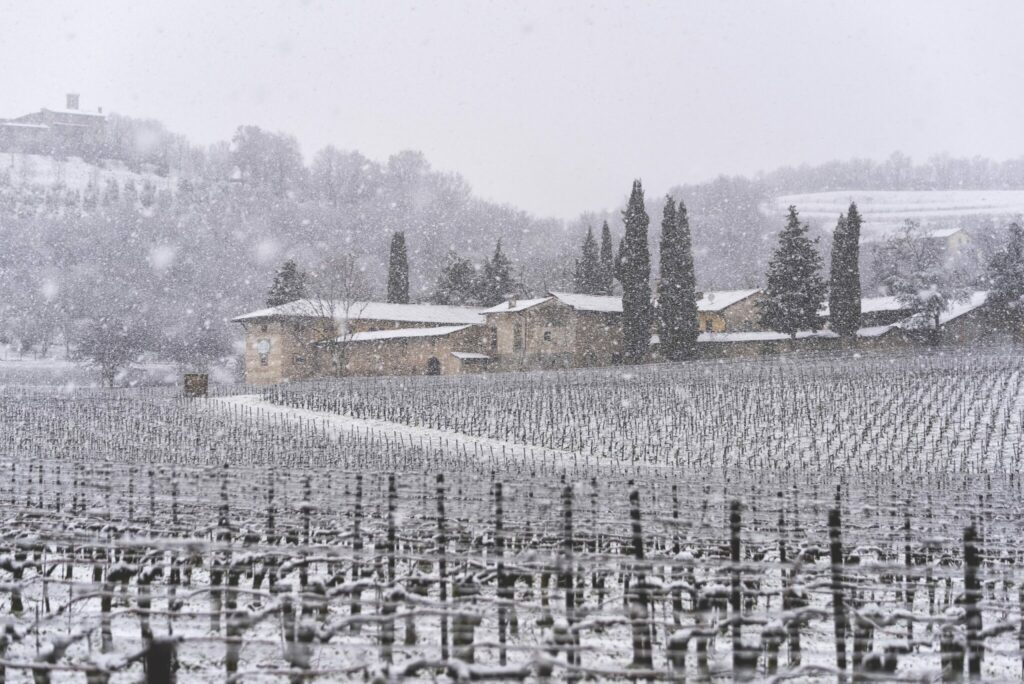 Snowy Franciacorta 